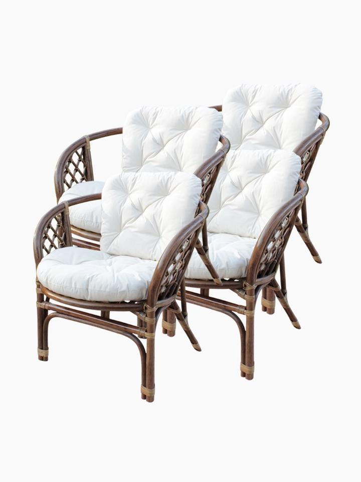 Praktyczne porady ogrodnicze