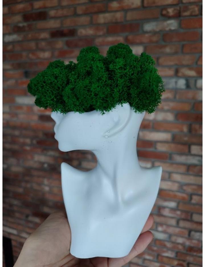 Dekoracje roślinne z recyklingu