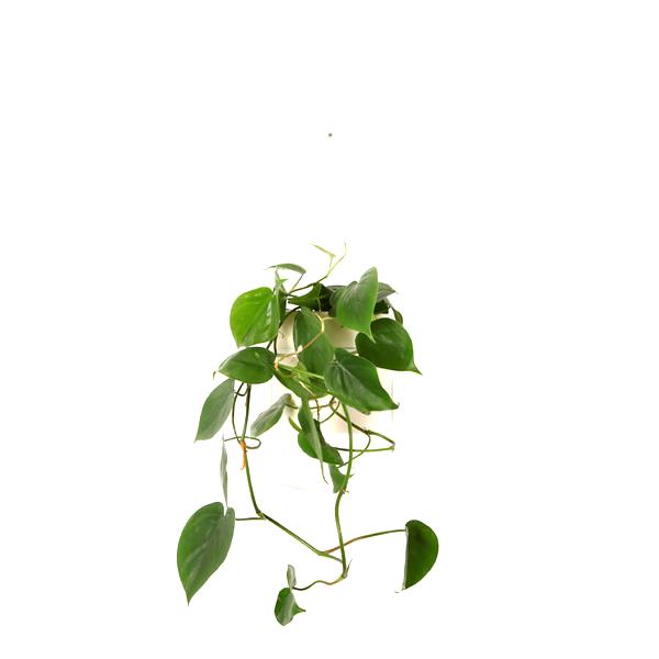 Aranżacja nowoczesnych loftów