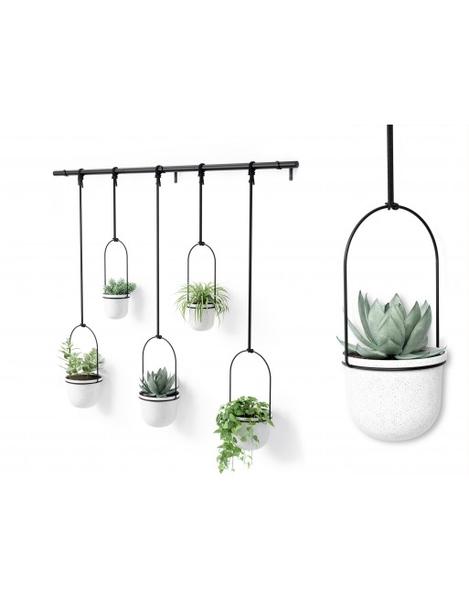 Rośliny do kwietników loftowych