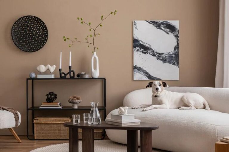 Jak wybrać idealny kolor ścian do przedpokoju? Zainspiruj się naszymi zdjęciami!