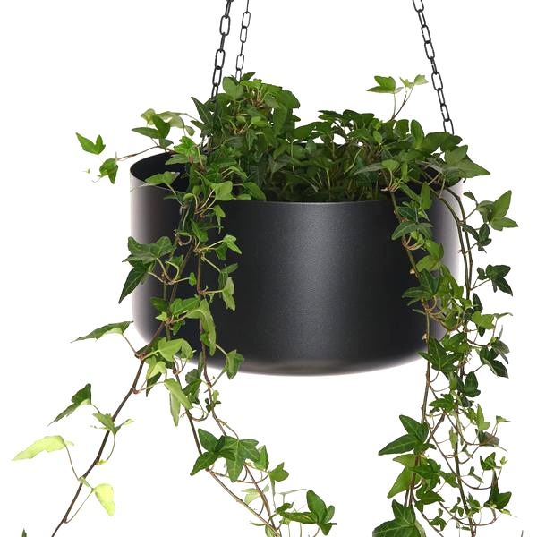 Kwietnik loft wiszący – Odkryj najnowsze trendy w aranżacji nowoczesnych loftów