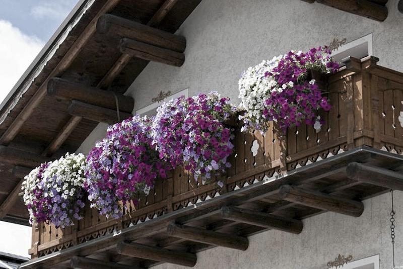 Ozdobne liście na balkon