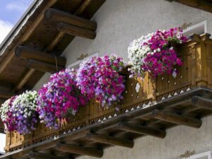 Ozdobne liście na balkon – 7 pomysłów na zieloną aranżację